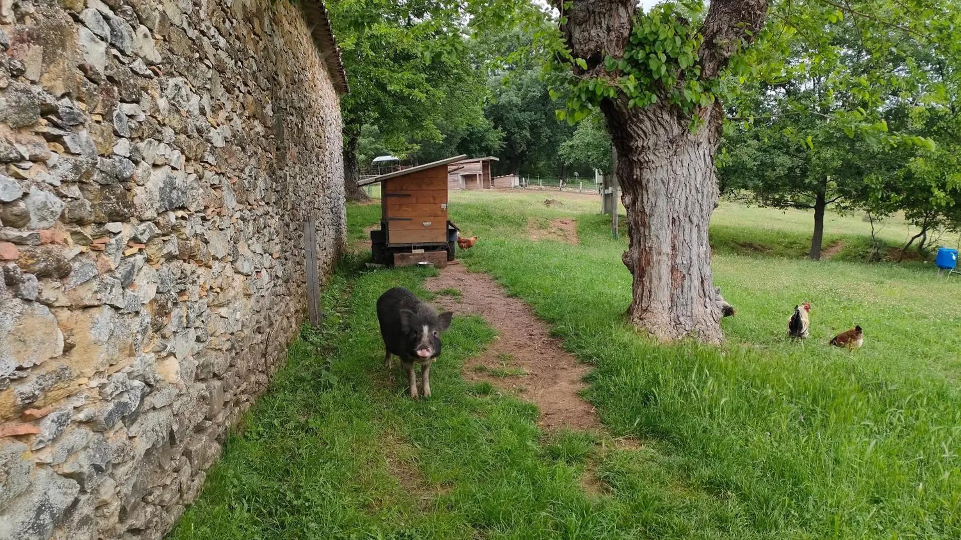Gite A La Ferme Ongles Frankreich